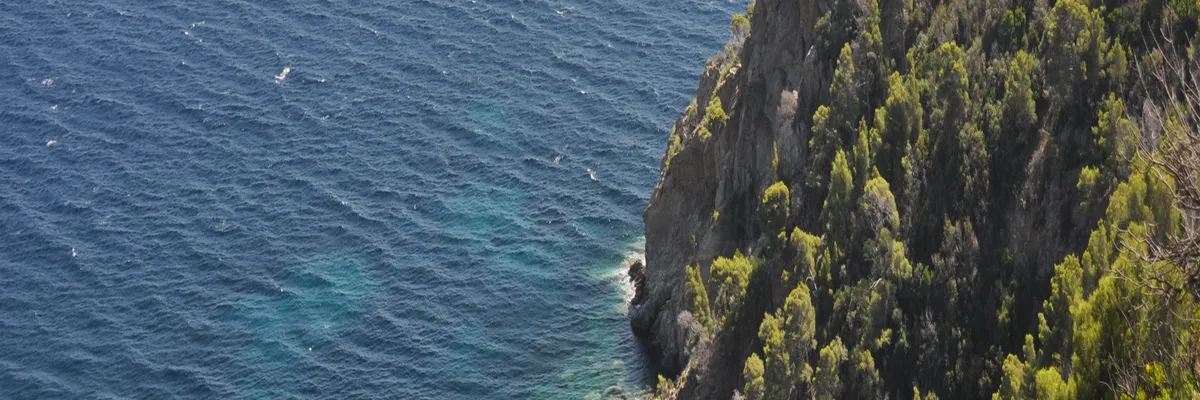image-installation-carport-solaire-cavalaire-sur-mer.webp Image Installation carport solaire Cavalaire-sur-Mer